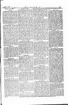 The Irishman Saturday 15 April 1876 Page 13