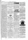 The Irishman Saturday 26 August 1876 Page 15