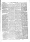 The Irishman Saturday 07 October 1876 Page 13