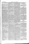 The Irishman Saturday 04 November 1876 Page 5