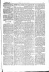 The Irishman Saturday 04 November 1876 Page 13