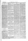 The Irishman Saturday 25 November 1876 Page 3