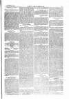 The Irishman Saturday 25 November 1876 Page 5