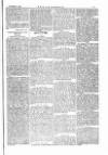 The Irishman Saturday 25 November 1876 Page 13
