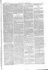 The Irishman Saturday 16 December 1876 Page 5