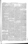 The Irishman Saturday 06 January 1877 Page 7