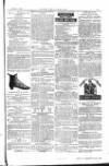 The Irishman Saturday 06 January 1877 Page 15