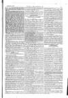 The Irishman Saturday 13 January 1877 Page 9