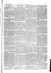 The Irishman Saturday 13 January 1877 Page 13