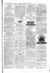 The Irishman Saturday 13 January 1877 Page 15
