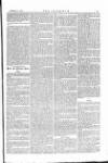 The Irishman Saturday 17 February 1877 Page 5