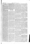 The Irishman Saturday 24 February 1877 Page 13