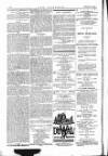 The Irishman Saturday 24 February 1877 Page 16