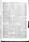 The Irishman Saturday 21 July 1877 Page 7