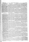 The Irishman Saturday 09 February 1878 Page 13