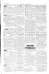 The Irishman Saturday 02 November 1878 Page 15
