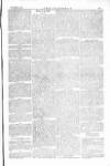 The Irishman Saturday 09 November 1878 Page 13