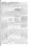 The Irishman Saturday 21 December 1878 Page 5