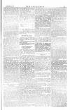 The Irishman Saturday 21 December 1878 Page 7