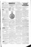 The Irishman Saturday 25 January 1879 Page 15