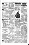 The Irishman Saturday 06 September 1879 Page 15