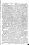 The Irishman Saturday 01 November 1879 Page 13