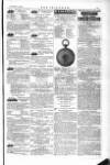 The Irishman Saturday 29 November 1879 Page 15