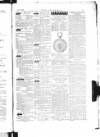 The Irishman Saturday 15 May 1880 Page 15