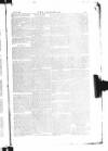 The Irishman Saturday 22 May 1880 Page 13