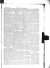 The Irishman Saturday 20 November 1880 Page 13