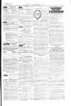 The Irishman Saturday 29 January 1881 Page 15