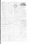 The Irishman Saturday 12 February 1881 Page 15