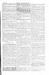 The Irishman Saturday 09 July 1881 Page 9