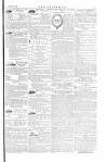 The Irishman Saturday 06 August 1881 Page 15