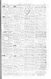 The Irishman Saturday 20 August 1881 Page 15