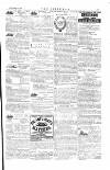 The Irishman Saturday 19 November 1881 Page 15