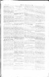The Irishman Saturday 22 April 1882 Page 5