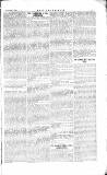 The Irishman Saturday 06 January 1883 Page 5