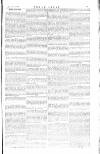 The Irishman Saturday 03 February 1883 Page 13