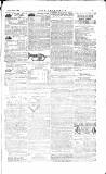 The Irishman Saturday 24 February 1883 Page 15