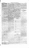 The Irishman Saturday 31 March 1883 Page 11