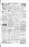 The Irishman Saturday 02 June 1883 Page 15