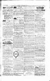 The Irishman Saturday 09 June 1883 Page 15
