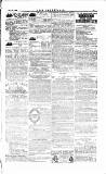 The Irishman Saturday 21 July 1883 Page 15
