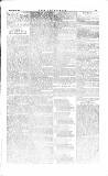 The Irishman Saturday 25 August 1883 Page 11