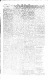 The Irishman Saturday 29 September 1883 Page 11