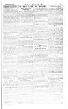 The Irishman Saturday 15 December 1883 Page 7