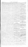 The Irishman Saturday 02 February 1884 Page 7