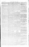 The Irishman Saturday 23 February 1884 Page 7