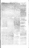 The Irishman Saturday 15 March 1884 Page 11